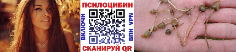 MEGA как войти  Краснокаменск  Галлюциногенные грибы прущие грибы  закладка 