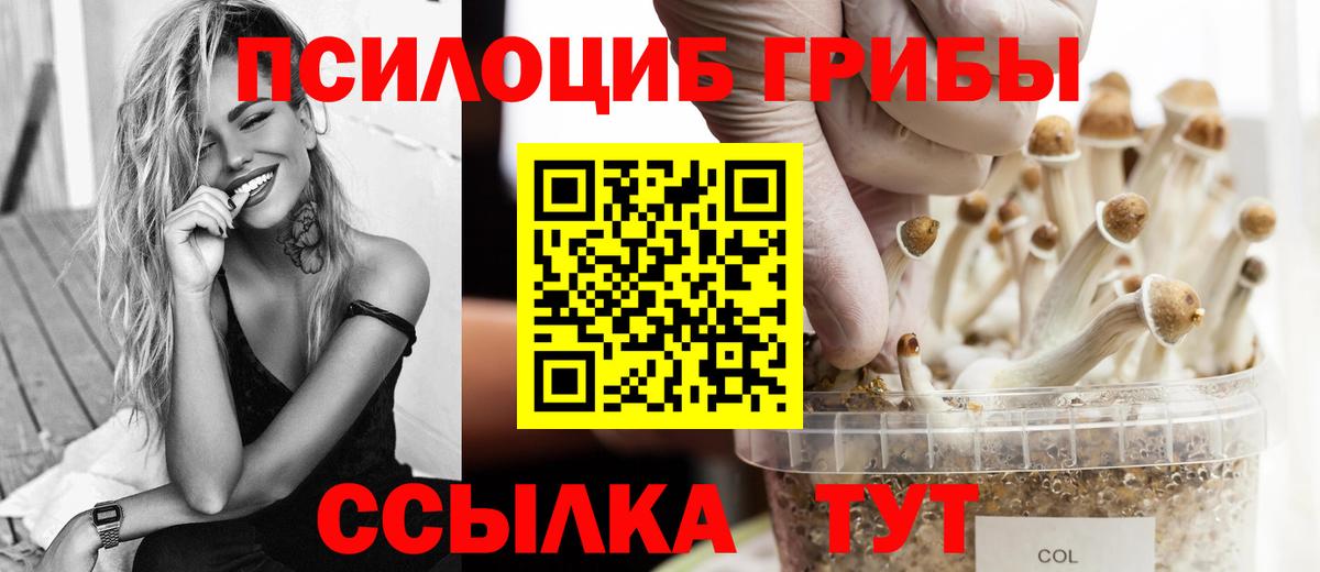 Псилоцибиновые грибы ЛСД  Вход с VPN  Краснокаменск 