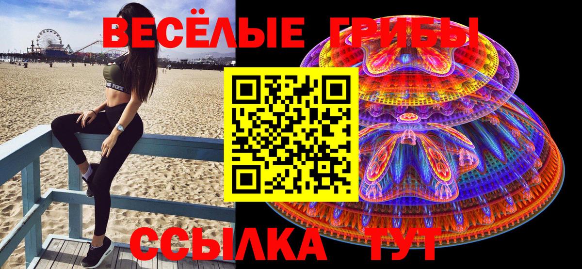 Псилоцибиновые грибы Psilocybine cubensis Краснокаменск